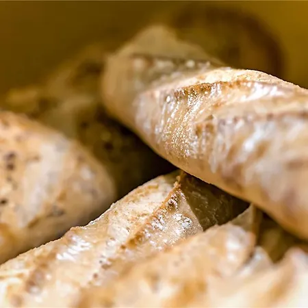 Hotel Ibis Budget Strasbourg Sud Illkirch